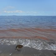 房総半島を眺めながら海水浴ができます