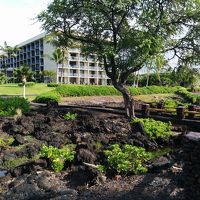 ホテルのビーチまでの道のり、溶岩がすごい