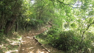 ここは横浜なのか？と思うほど緑の空間が広がっているところ