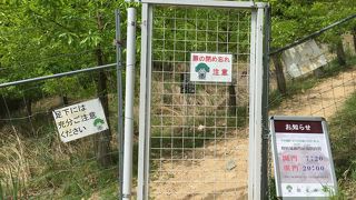 登山道開通しています。利用者少ないですが、。