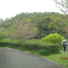 考古館から見た松山総合公園の様子です。