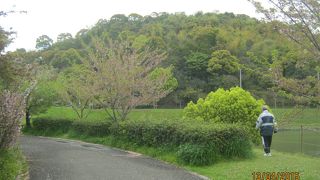 松山市の西側にある大峰ケ台全体が総合公園です。