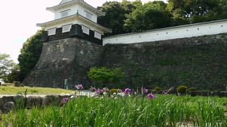 ぶらぶら散歩に