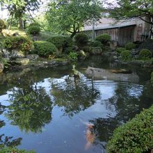 神社の池