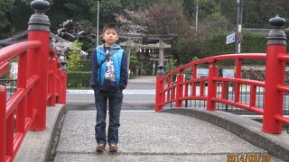 かないますように