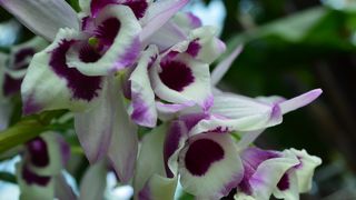 見応えがあります！