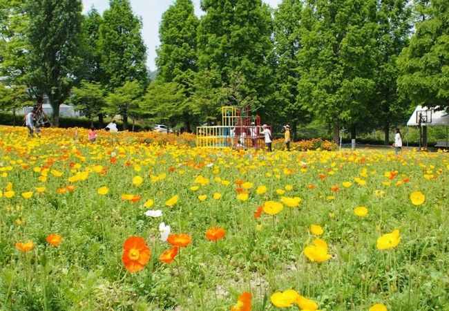 富田林市農業公園 サバーファーム クチコミ アクセス 営業時間 富田林 羽曳野 フォートラベル