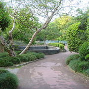 駅の真裏の起伏に飛んだ公園。