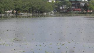 景観を楽しみながらの散策が楽しい