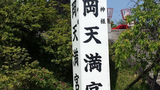 キリシマツツジ