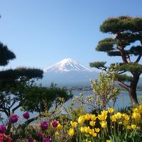 1階庭からの眺め