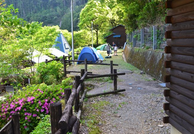 日ノ御子河川公園キャンプ場