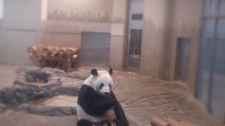 GW明けの動物園は落ち着いていました