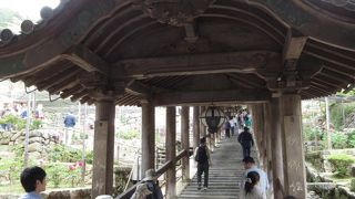 399段もあるそうです ♪