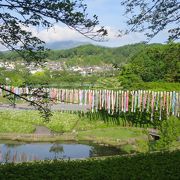 鯉のぼり祭りというイベントが開かれていました