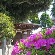 社殿の前を県道が横切る残念な神社