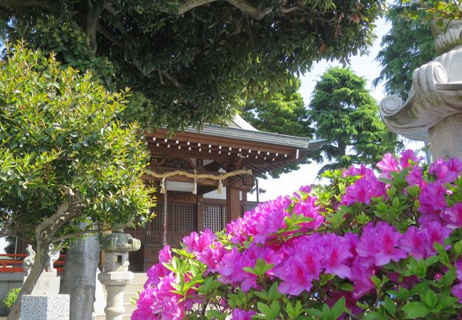 社殿の前を県道が横切る残念な神社