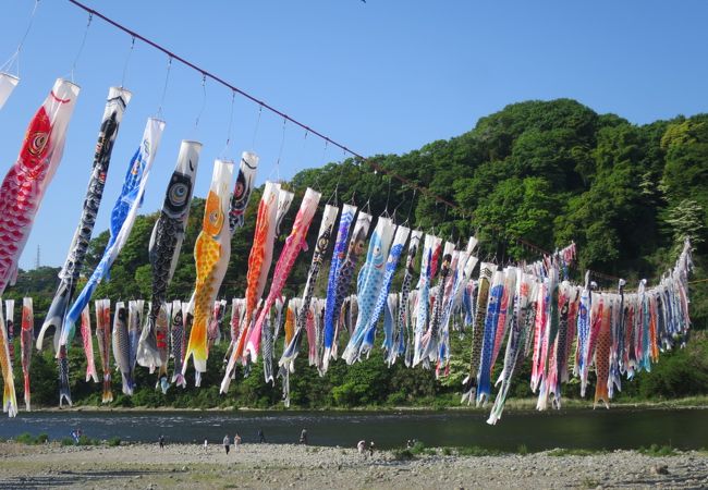 泳げ鯉のぼり相模川 クチコミ アクセス 営業時間 相模原 フォートラベル