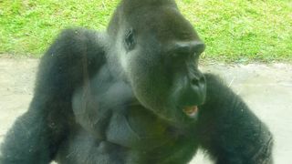 時間があったらどうぞ