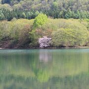 水芭蕉の群生地もある沼