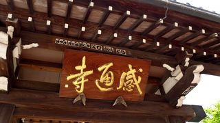 小さな池には菖蒲が咲いていました