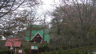 年中クリスマス気分が味わえます