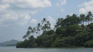 自然に囲まれたいい所