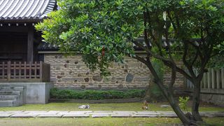 日本最初の禅寺(聖福寺)