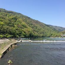 ゆっくりパチリ！！