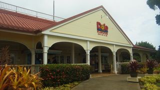 巨大迷路は世界最大