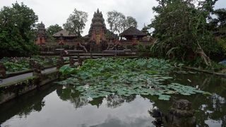 伝統舞踊と一緒に見るのがおすすめ