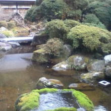 趣のある池と植栽