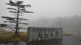 日本百名山　大台ケ原　やっぱり雨だった