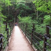 高尾山ハイキングコースにある唯一の吊り橋