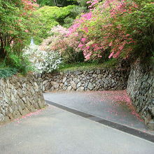 わざと曲がり角を設けて、敵の侵入を防ぐ造り。