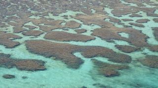 丘の上からの美しい珊瑚礁の海は最高です♪