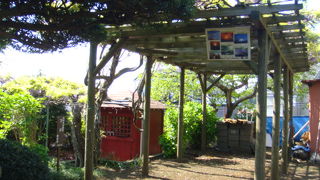 富士山と藤の木