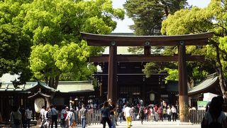 賑やかでした。