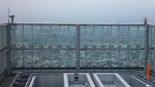 せっかくだから