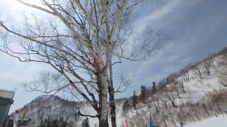 抜群に広大な広さを持つスキー場