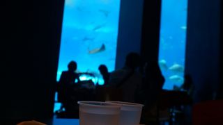 人は一杯だけど、海の雰囲気は楽しめます