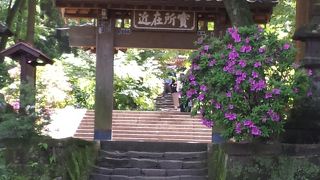 鎌倉。浄智寺