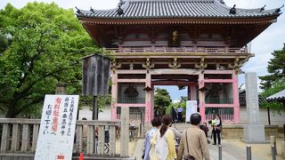 名前のとおり藤のお寺