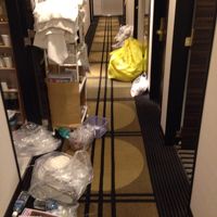 廊下がこんな状態だったからスーツケースで通るの大変だった