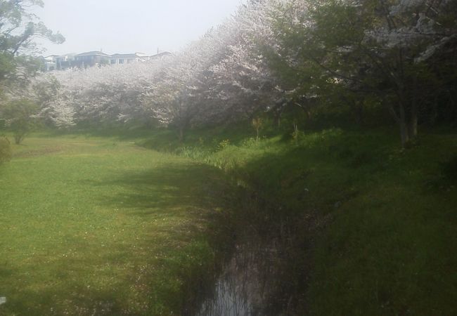 長津川親水公園