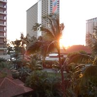 中庭を見る感じです