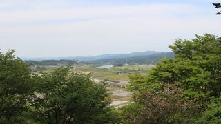 見応えあります。