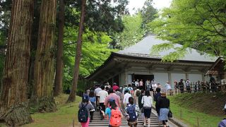 入場料を払う価値あります！