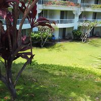 ガーデンビューの部屋です