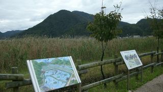 コウノトリの生息拠点
